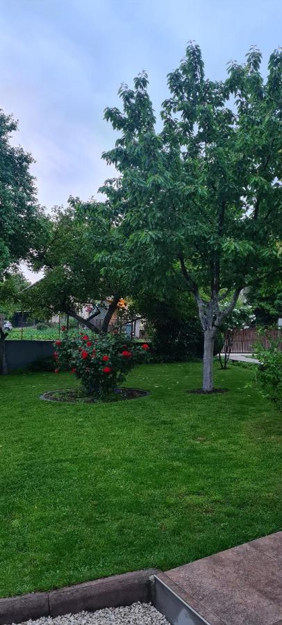 Ferienwohnung Prenociste Dubravka Livno Exterior foto